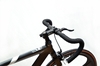 Xe đạp Fixed Gear LIFE HORSE 3.0 Sơn Carbon