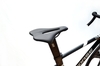 Xe đạp Fixed Gear LIFE HORSE 3.0 Sơn Carbon