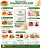 gelatine-dang-bot-hat-250-bloom-viet-nam