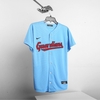ao-nike-mlb-logo-jersey