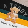 ao-thun-teddy-pain
