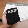 boxer-avando