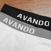 boxer-avando