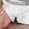 boxer-avando