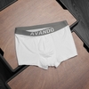 boxer-avando