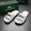 dep-duc-lacoste