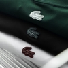ao-thun-lacoste-sportswear