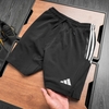 quan-short-adidas-logo-theu-training-ss2