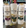 dg-pantene-300ml