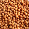 (500gram) [ Lon Pet ] Đậu Phộng Da Cá Rang Tỏi Ớt Loại 1 - ATTP