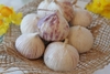 (1KG) Tỏi Cô Đơn Phan Rang Làm Tỏi Đen