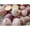 500g Tỏi Cô Đơn Phan Rang (dùng làm Tỏi Đen) VIETTIN MART