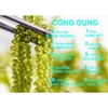 30G RONG NHO TÁCH NƯỚC LOẠI NGON