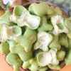 Bánh Gấu Chùm Ngây Nhân Kem Viettin Mart 500g