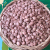 (500gram) Đậu Lăng Xanh Hữu Cơ - VIETTIN MART