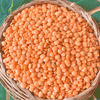 (1KG) Đậu Lăng Đỏ Hữu Cơ - VIETTIN MART