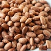 1KG ĐẬU CÚC PINTO