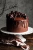 Nguyên Liệu Làm Chocolate