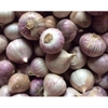 500g Tỏi Cô Đơn Phan Rang (dùng làm Tỏi Đen) VIETTIN MART