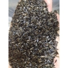 HẠT NIGER Cho HAMSTER (500gram) | Viettin Mart