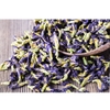 Hoa Đậu Biếc VIETTIN MART 100G