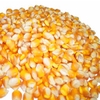 Bắp Nổ Mỹ VIETTIN MART 500g  (DÙNG LÀM MÓN BẮP RANG BƠ)