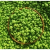 (500gram) Đậu Hà Lan Wasabi | Viettin Mart