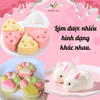 Set Làm Pudding 5 Vị Trứng, Dâu, Socola, Môn, Matcha VietTin Mart