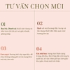 Bình Xịt Tinh Dầu Làm Thơm Phòng, Đuổi Côn Trùng 260ml VIETTIN MART