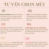 Tinh Dầu Thiên Nhiên Nguyên Chất 100ml VIETTIN MART