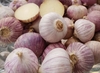 (1KG) Tỏi Cô Đơn Phan Rang Làm Tỏi Đen