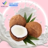 Nước Cốt Dừa WONDERFRAM (400ml)