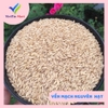 (500gram) Yến Mạch Hữu Cơ (Đã Tách Vỏ)