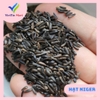 HẠT NIGER Cho HAMSTER (500gram) | Viettin Mart