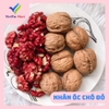 (500gram) Nhân Óc Chó Đỏ Xuất Khẩu VIETTIN MART