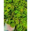 Kiwi sấy dẻo muối ớt Viettin mart 500g