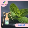 Lọ Treo Tinh Dầu Bạc hà Lục Giác