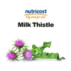 ho-tro-giai-doc-gan-hoa-ke-sua-nutricost-milk-thistle-250mg-240-vien