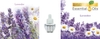 bo-tinh-dau-thom-cam-dien-air-wick-lavender-chamomile-essential-oil-1-warmer-9-s