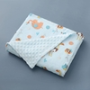 Chăn Điều Hòa 4 Mùa Cho Bé Chất Liệu Thoáng Mát Thấm Hút Kích Thước 70x110cm