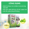 Siro ho cảm Ích Nhi 3+ chai 90ml hỗ trợ giải cảm, giảm ho, tiêu đờm