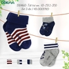 Set 3 Đôi Tất Sơ Sinh 0-3Y DOKMA