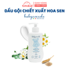 Dầu Gội Cho Bé Babycoccole 0M+ Thương Hiệu Số 1 Tại Ý - Chiết Xuất Hoa Sen 250ml, Không Cay Mắt, An Toàn Cho Da Bé