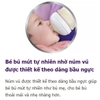 Núm Ti Avent Natural Dùng Cho Bình Sữa Avent Cổ Rộng - Timikid