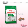 hat-royal-canin-mini-starter-mother-babydog