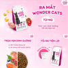 hat-wonder-cats-cho-meo-con-truong-thanh