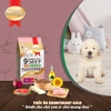 smartheart-gold-puppy