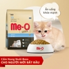 me-o-gold-kitten