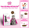 hat-wonder-cats-cho-meo-con-truong-thanh