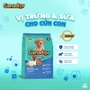 ganador-puppy-trung-sua